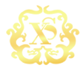 新盛公司Logo